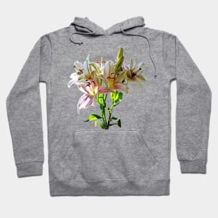 Backlit Pale Pink Lilies Hoodie